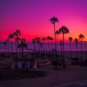 Meet your Posher, Rass arsizio